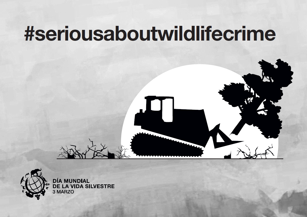 Hoy es el Día Mundial de la Naturaleza: ILANUD llama a luchar contra el tráfico ilícito de vida silvestre
